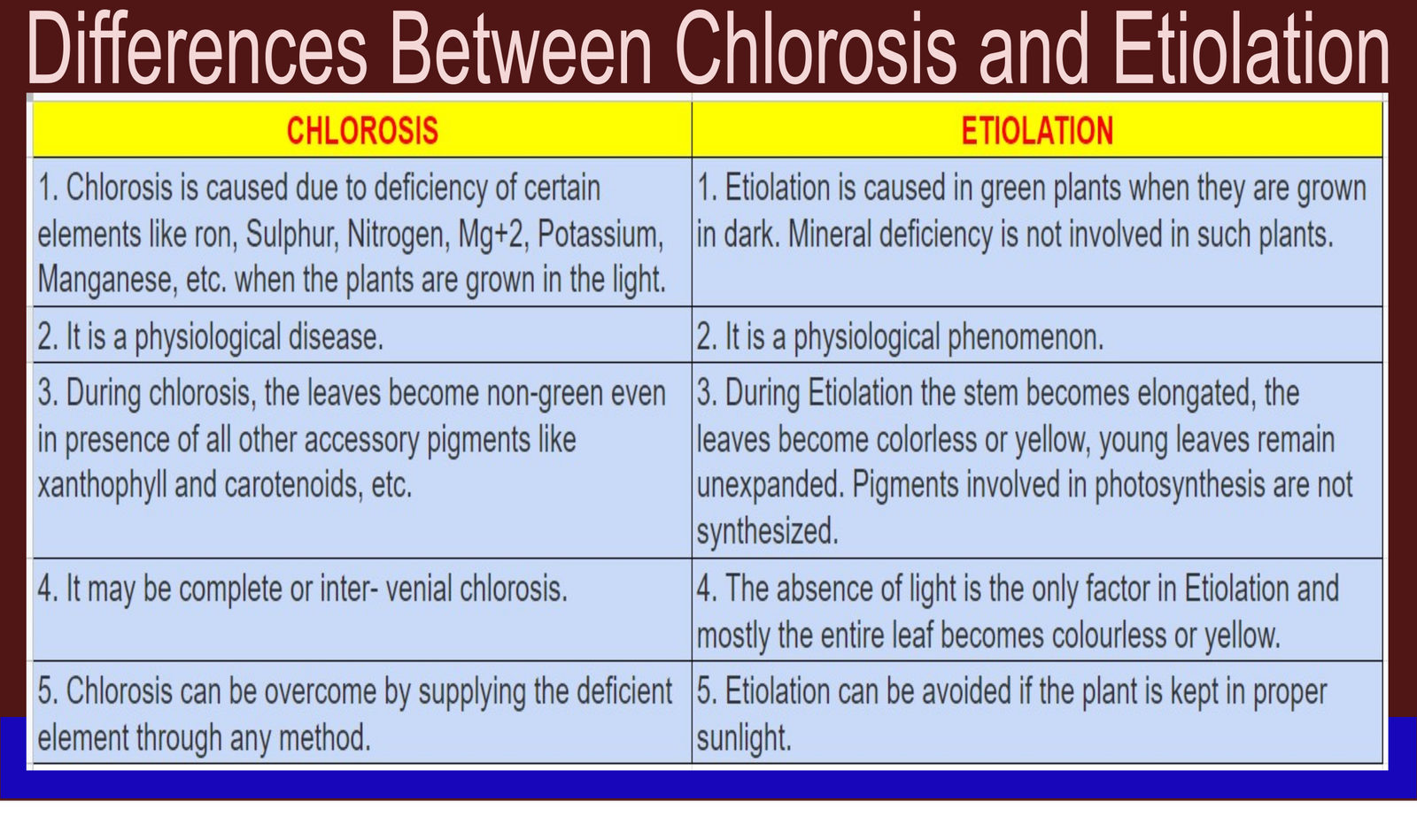 CHLOROSIS | CAUSES | IRON CHLOROSIS | ETIOLATION