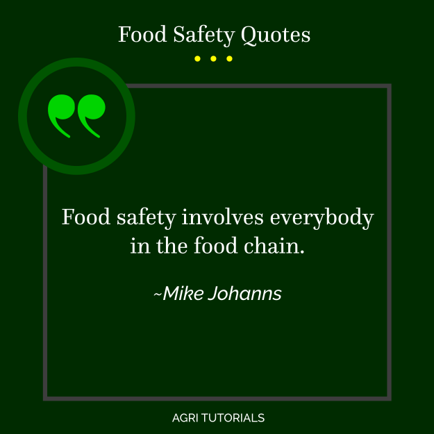 World Food Safety Day - Food safety involves everybody in the food chain