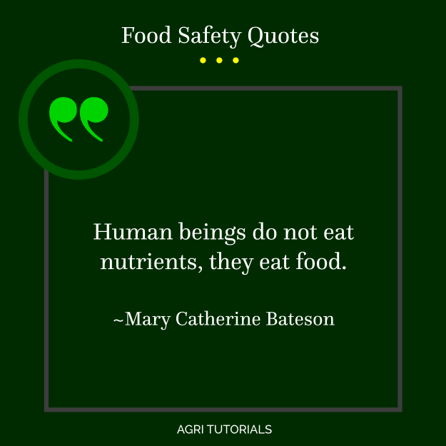 World Food Safety Day - Human beings do not eat nutrients, they eat food