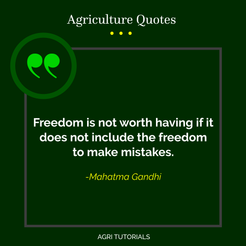 Mahatma Gandhi - Freedom is not worth having if it does not include the freedom to make mistakes.