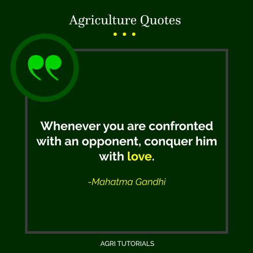 Mahatma Gandhi - Whenever you are confronted with an opponent, conquer him with love.