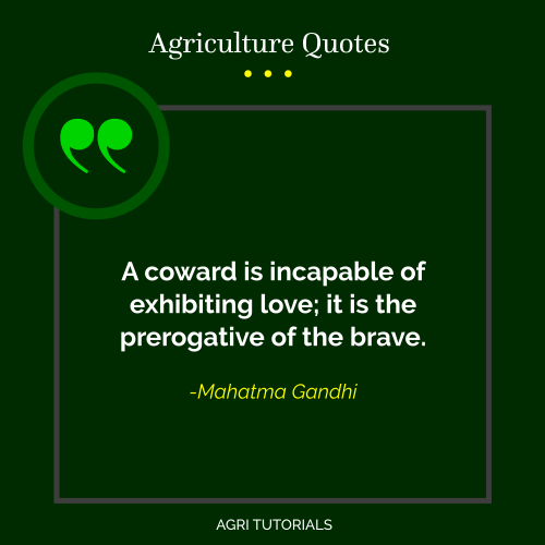 A coward is incapable of exhibiting love; it is the prerogative of the brave.