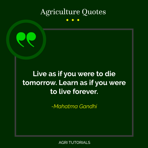 Live as if you were to die tomorrow. Learn as if you were to live forever - Mahatma Gandhi
