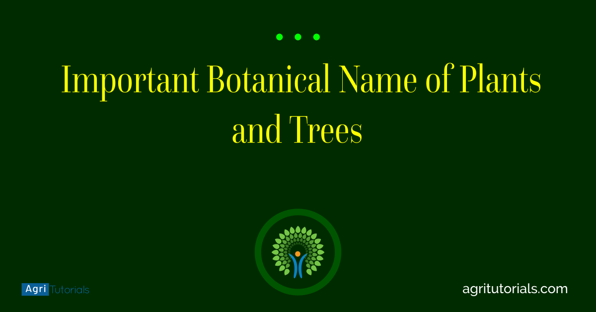 Important Botanical Name of Plants and Trees