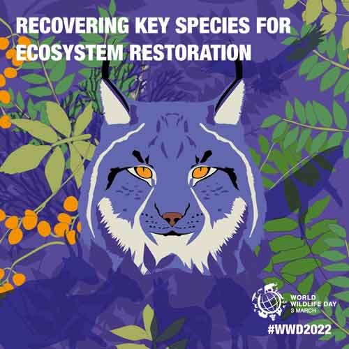 World Wildlife Day Theme 2022: Recovering key species for ecosystem restoration