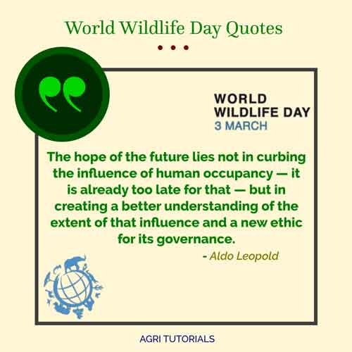 World Wildlife Day Inspirational Quotes: The hope of the future lies not in curbing the influence of human occupancy