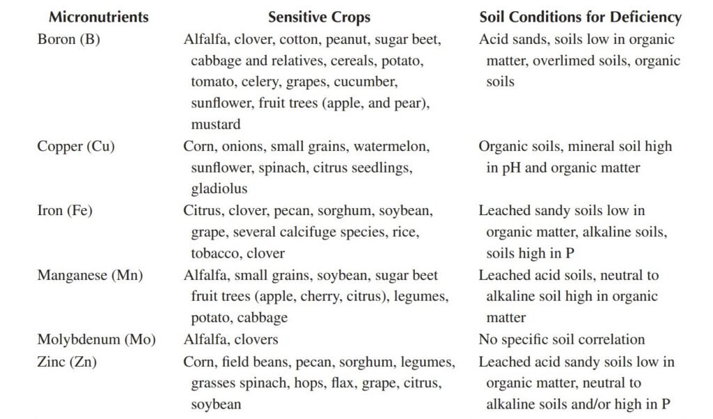 Plant Nutrient in the Soil: Micro and Macro Nutrients