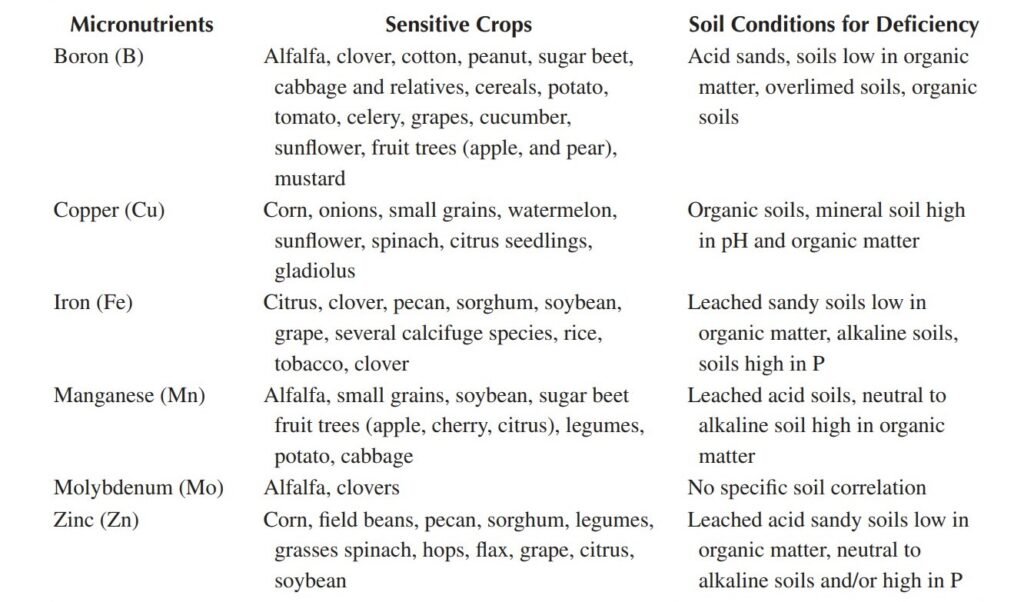 Plant Nutrients in the Soil | 17 Growth Elements | - AGRI TUTORIALS