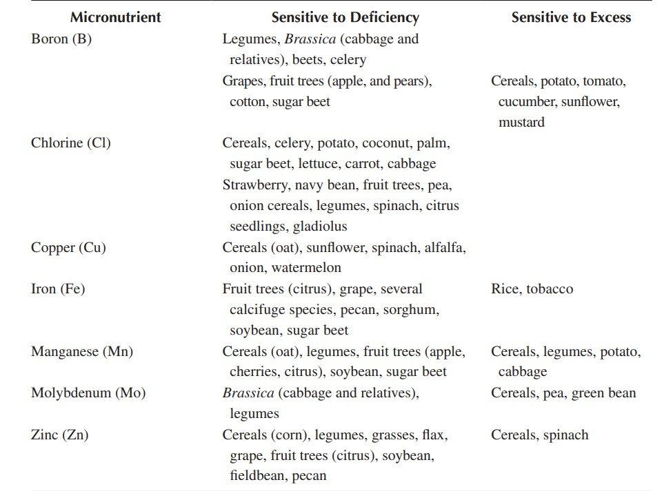 Plant Nutrient in the Soil: Micro and Macro Nutrients