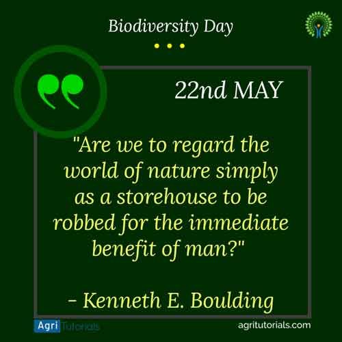 International Day for Biological Diversity: Biodiversity Day
