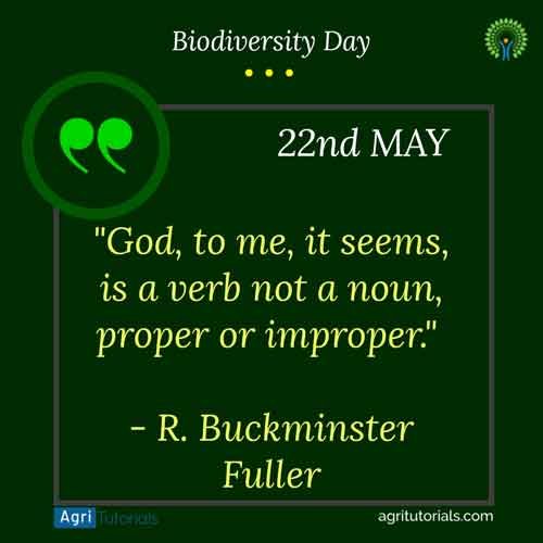International Biodiversity Day

