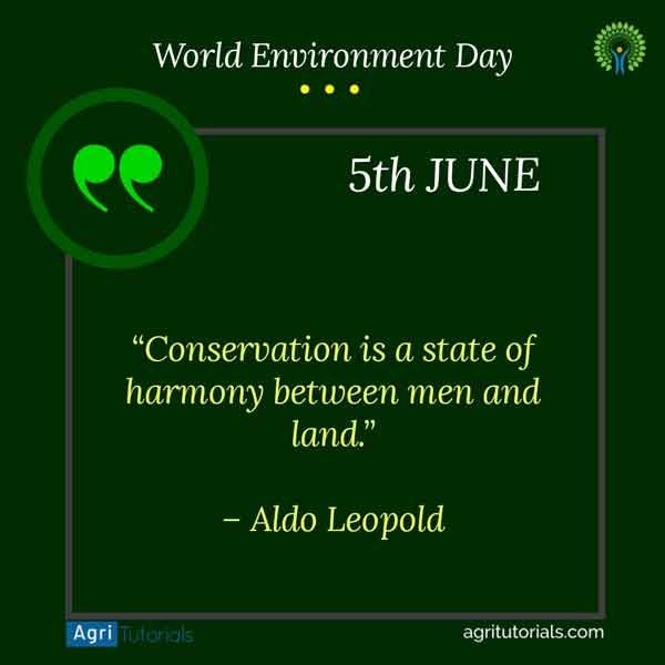 Conservation is a state of harmony between men and land.
