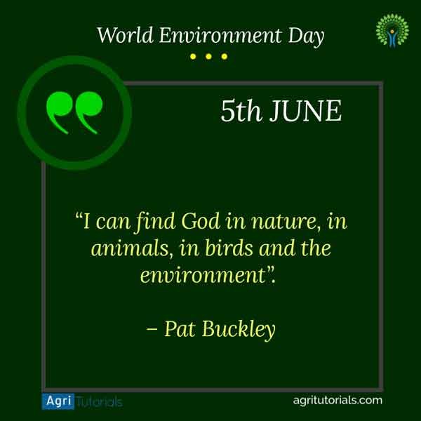 World Environment Day is Celebrated on 5 June, Quote: I can find God in nature, in animals, in birds and the environment.