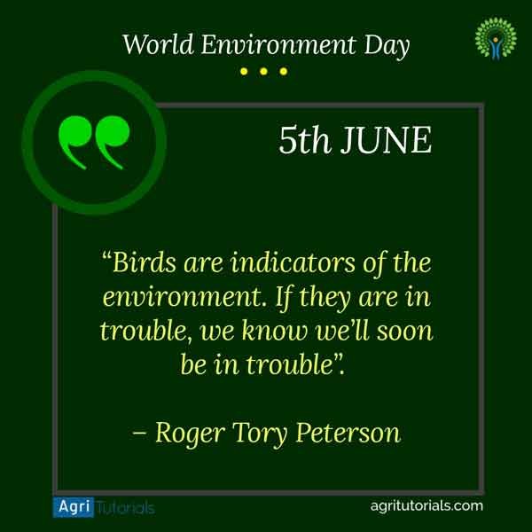 Birds are indicators of the environment. If they are in trouble, we know we’ll soon be in trouble.