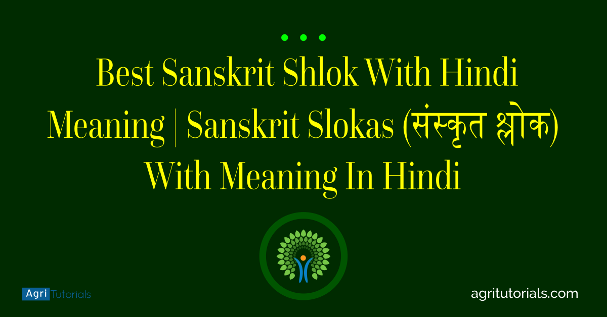 sanskrit meaning essay in hindi