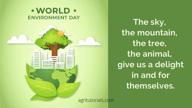 World Environment Day Images
