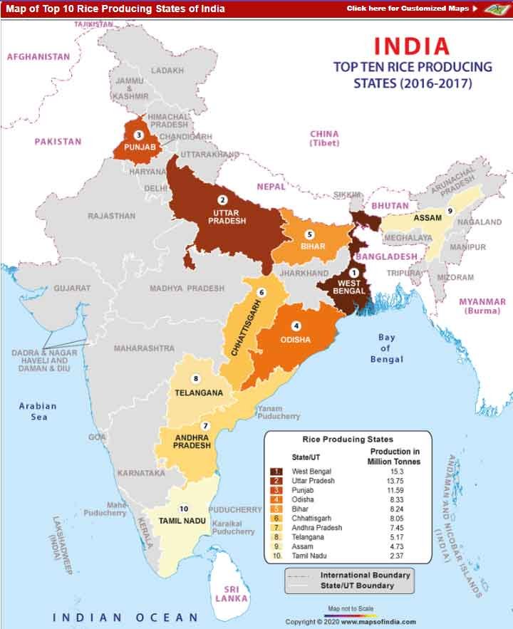 Classification of Crops Based on 3 Growing Seasons - Kharif (Rice)