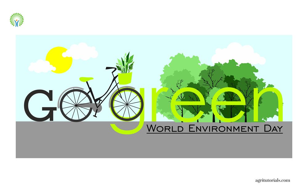 World Environment Day Celebration
