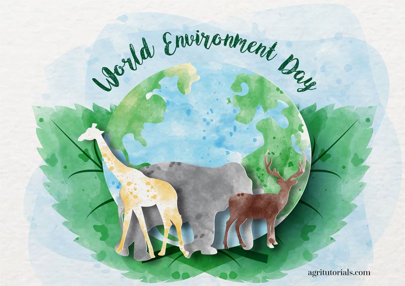 World Environment Day Drawing