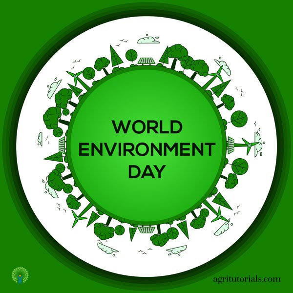 Poster Making On World Environment Day
