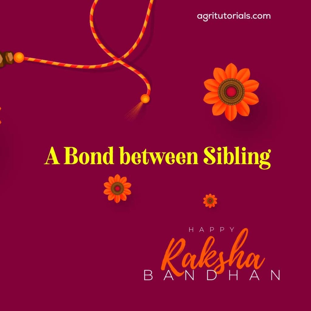 Happy Rakshabandhan