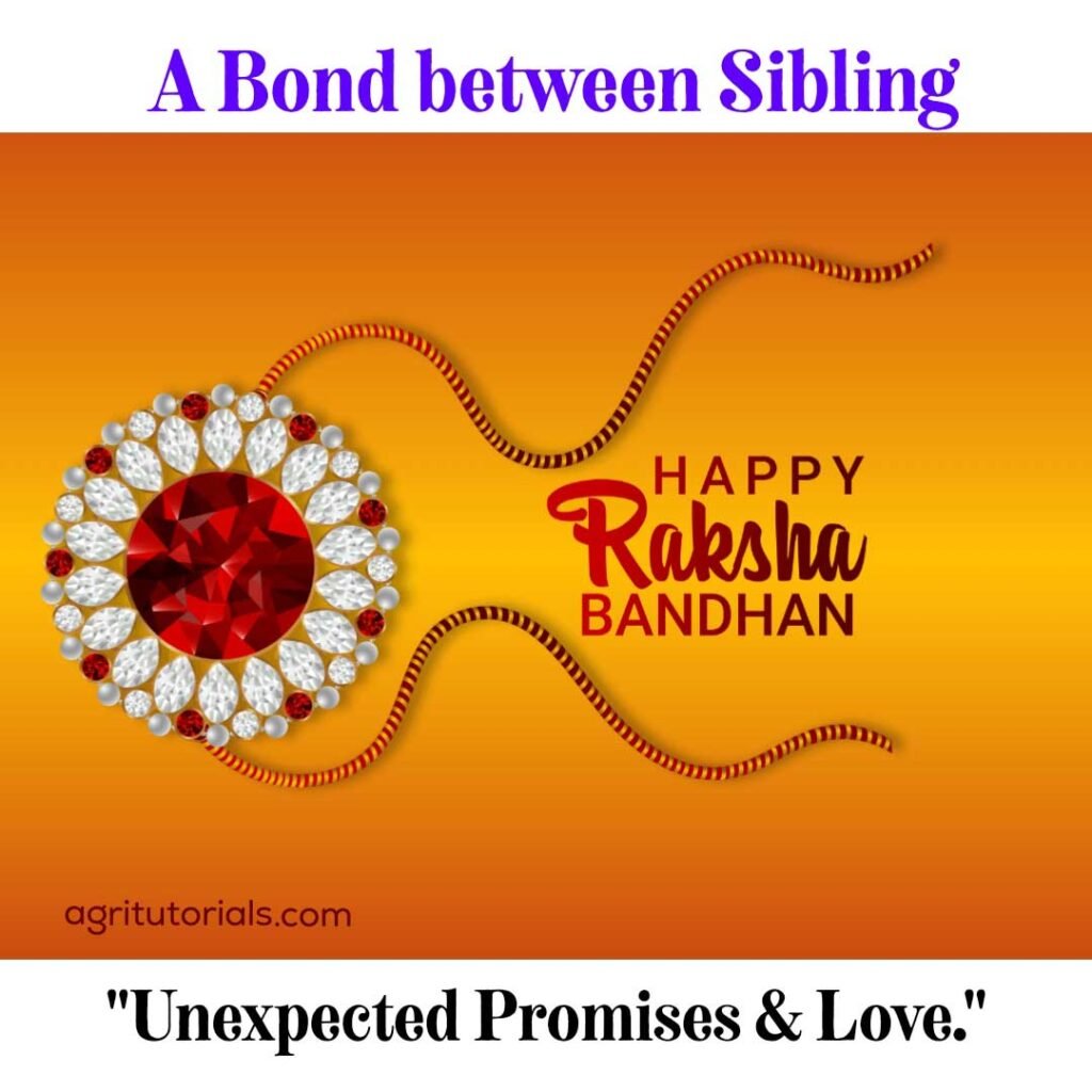 Quotes About Raksha Bandhan