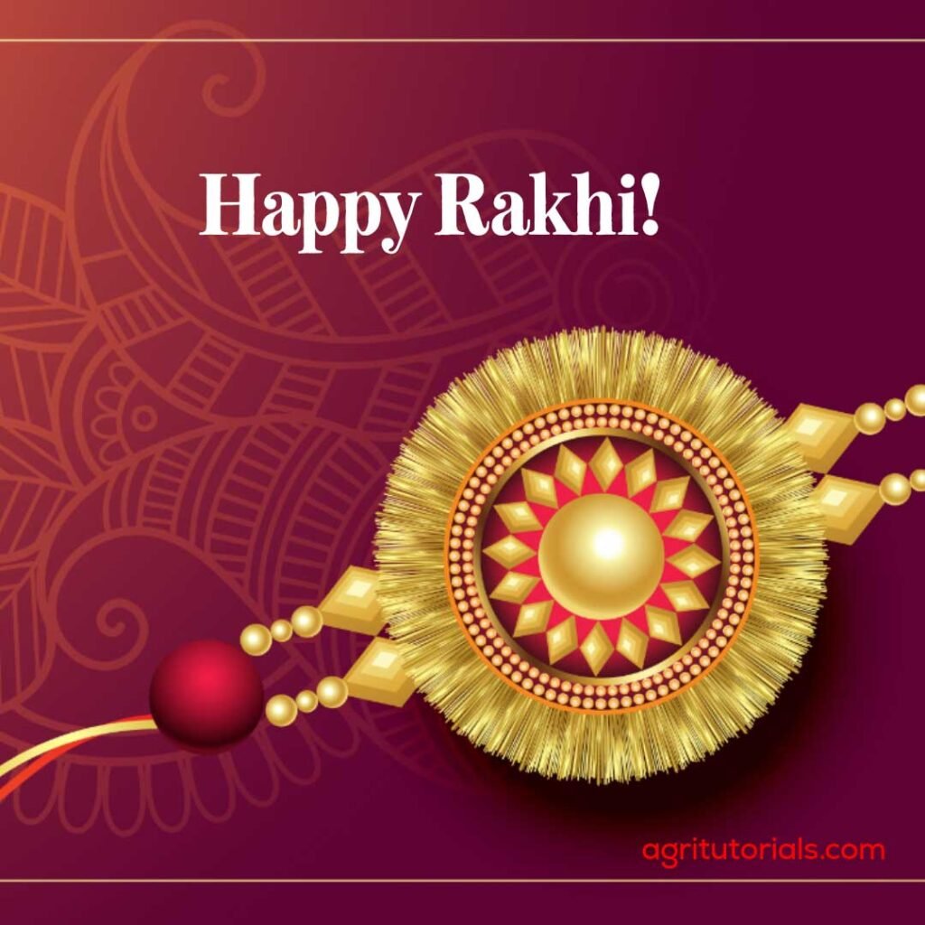 Rakhi Bandhan