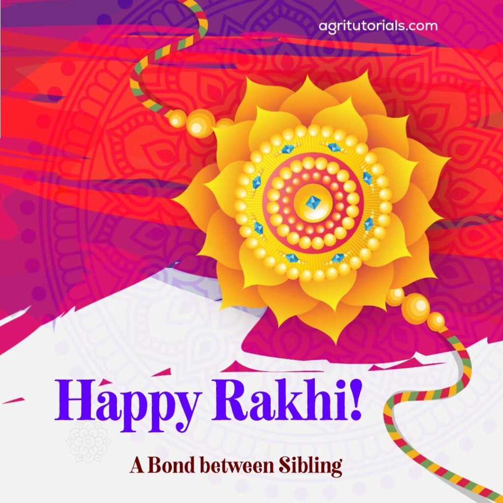 Rakhi Pic