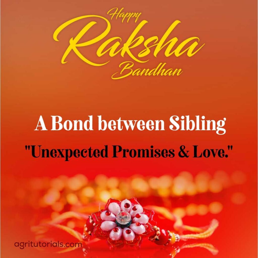 raksha bandhan images