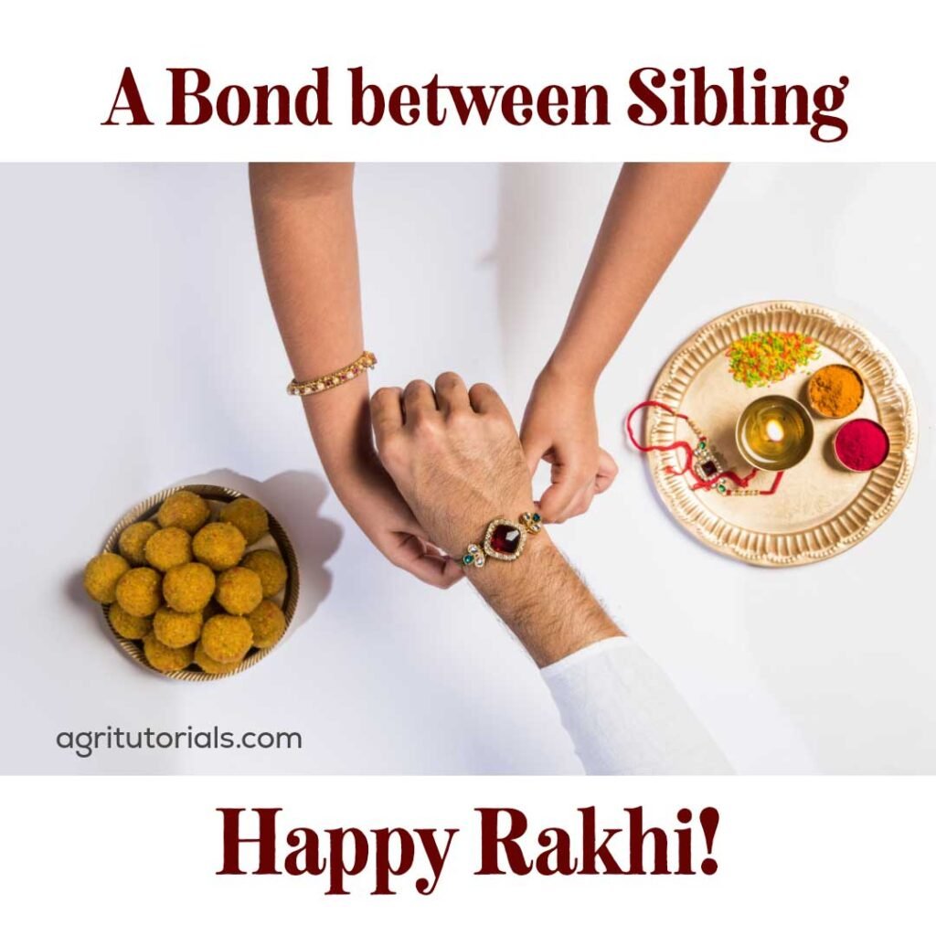 raksha bandhan photoshoot