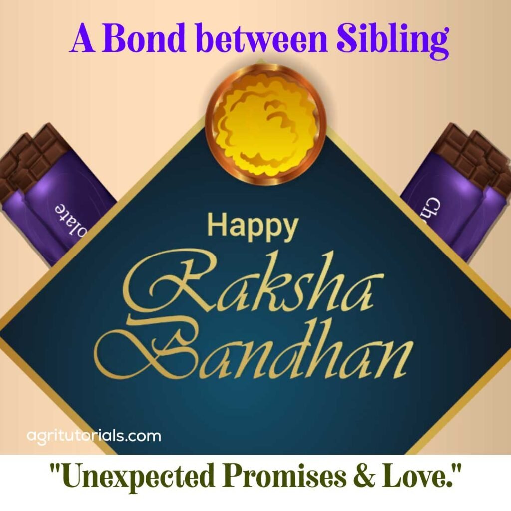 raksha bandhan wish