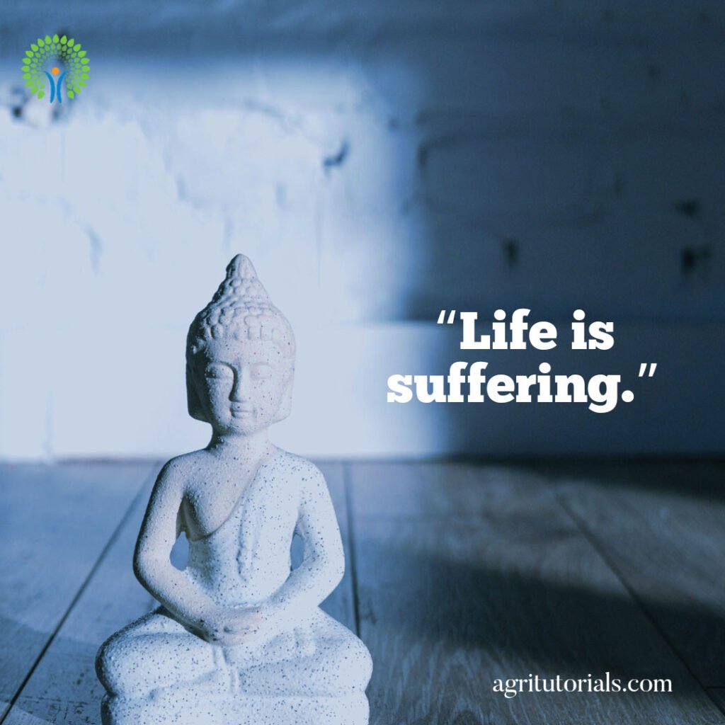 Buddha Purnima Status Life-is-suffering