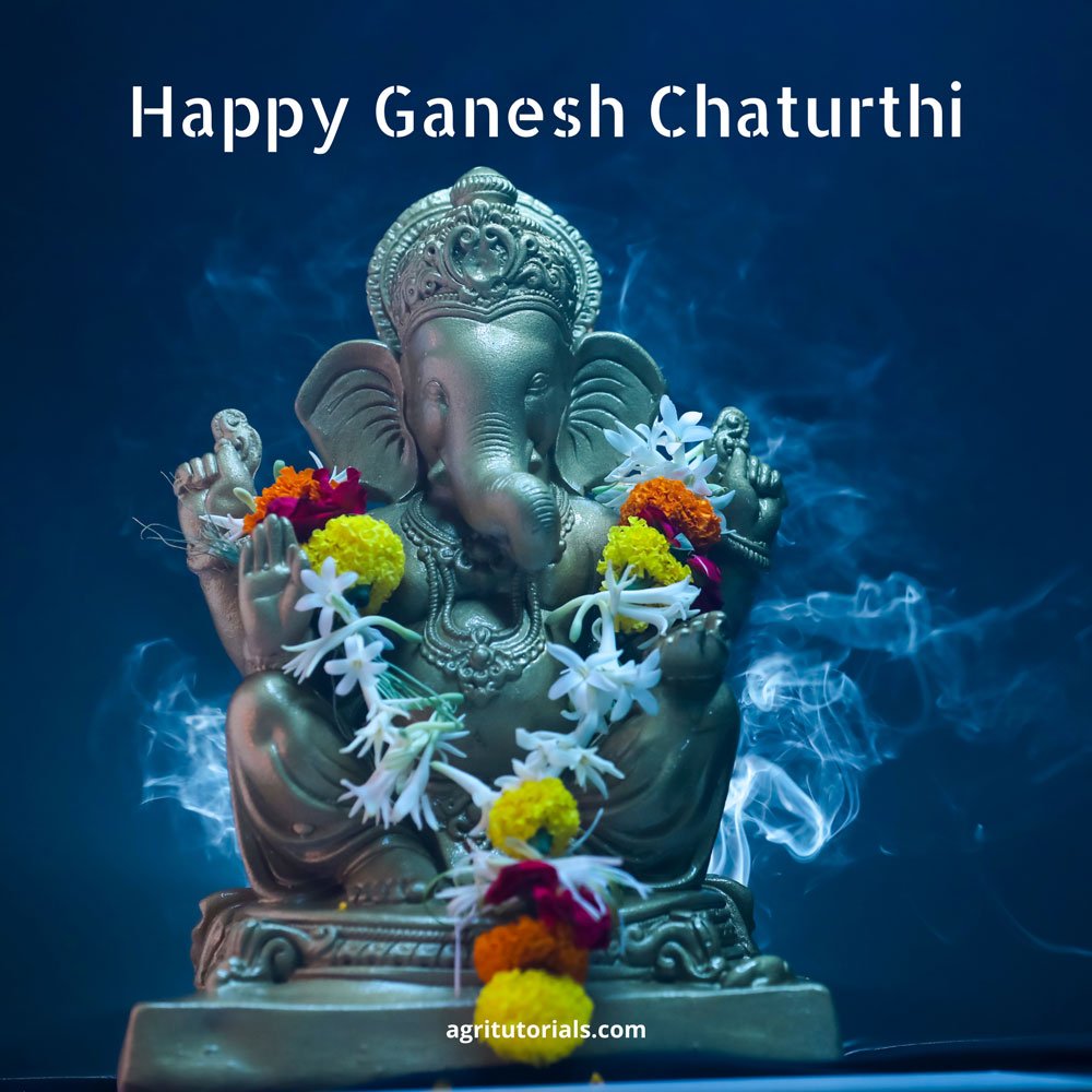 Cute Happy Ganesh Chaturthi