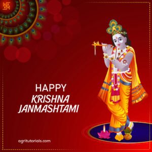 40+ Best Krishna Images - Janmashtami 2023 शुभ मुहूर्त Time | Shayari ...