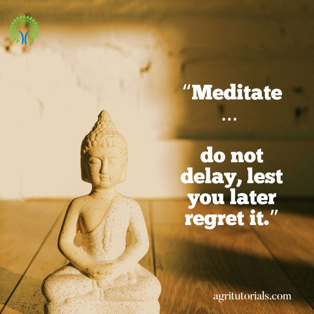 “Meditate-do-not-delay,-lest-you-later-regret-it