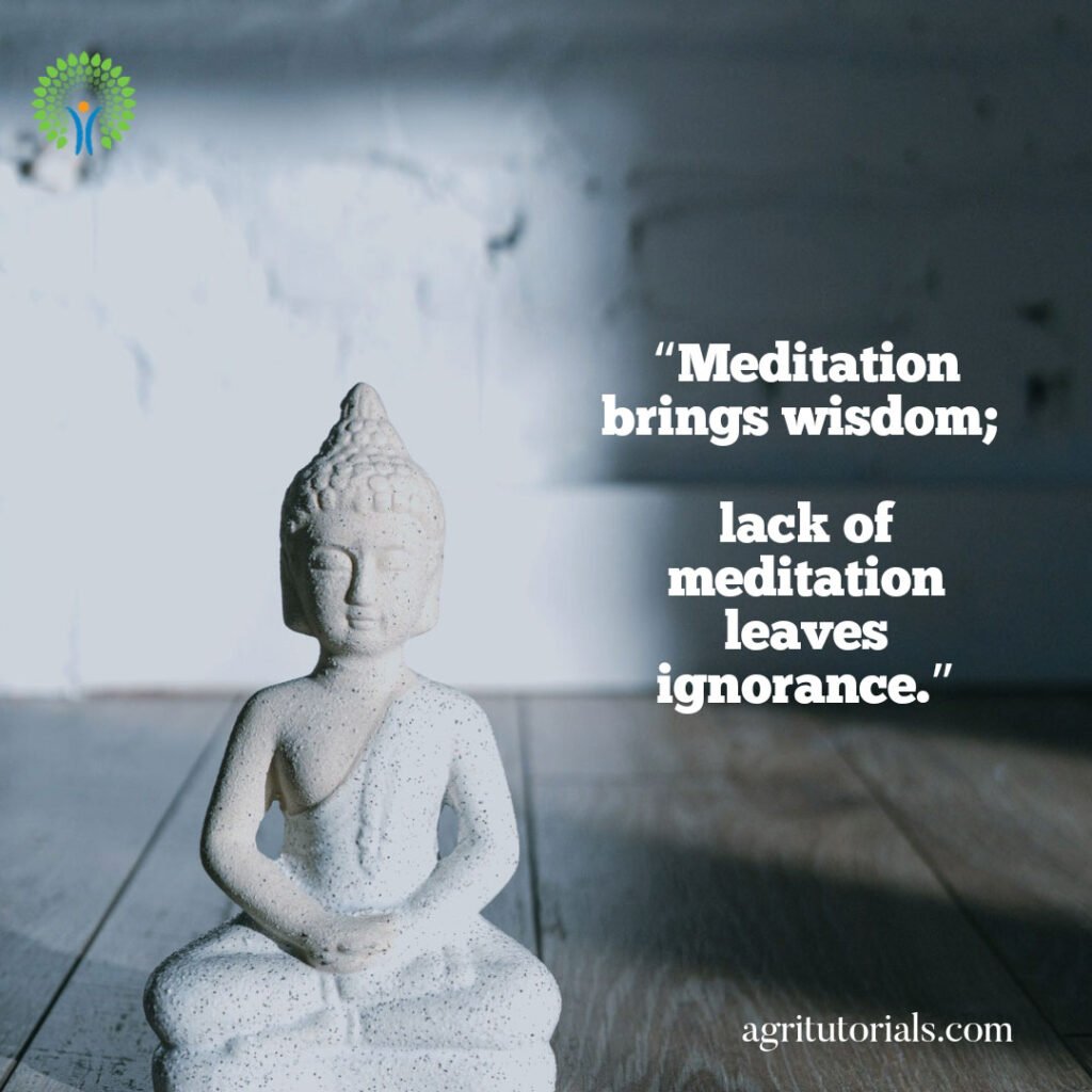 “Meditation-brings-wisdom_-lack-of-meditation-leaves-ignorance