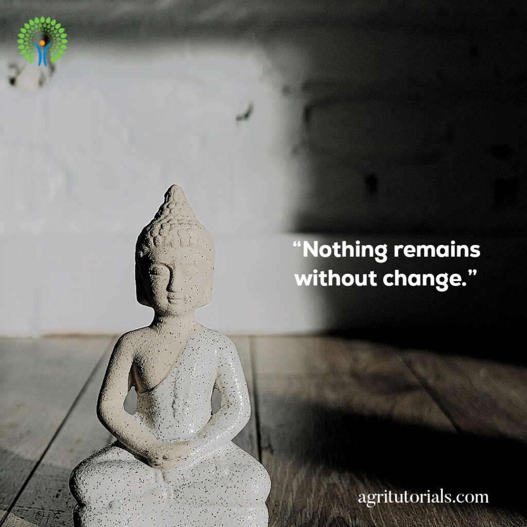 “Nothing-remains-without-change