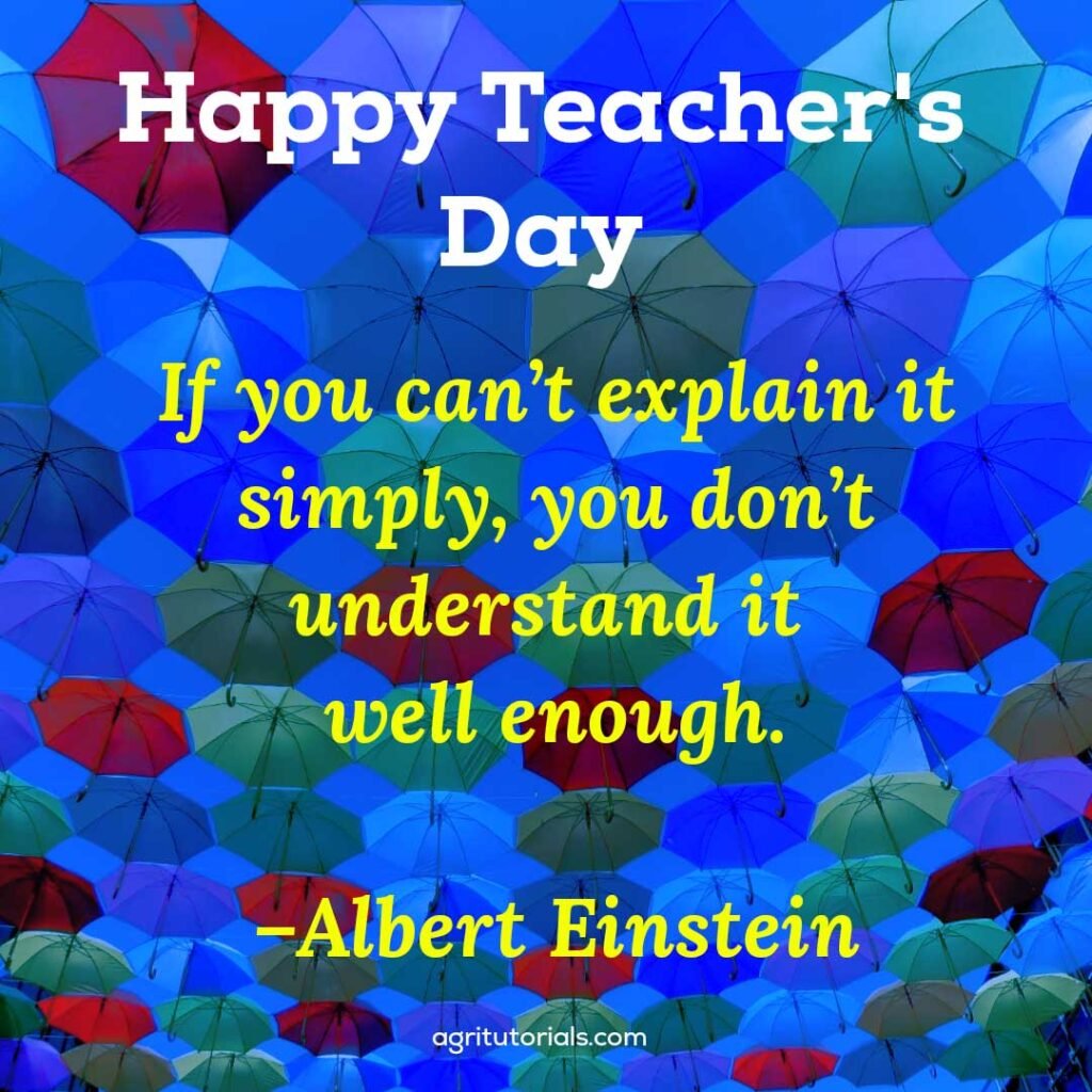 Teachers Day Quotes