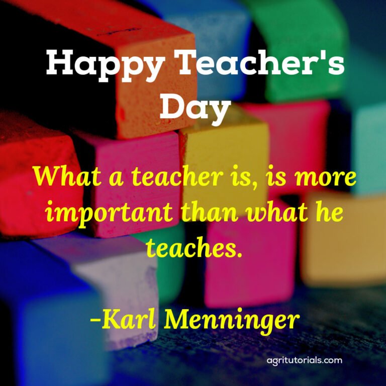 50+ Famous Happy Teachers Day Quotes in Hindi and English on Education ...