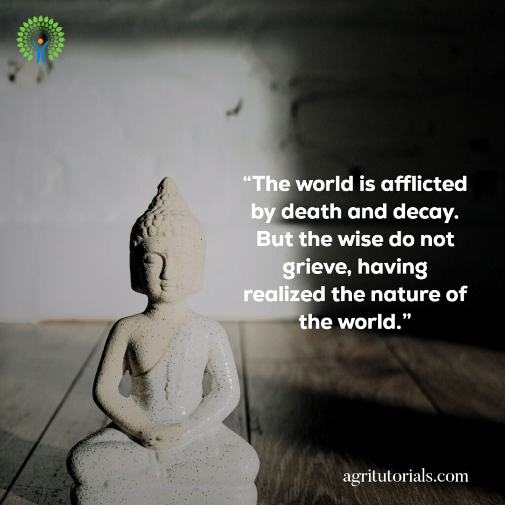 “The-world-is-afflicted-by-death-and-decay.-But-the-wise-do-not-grieve,-having-realized-the-nature-of-the-world