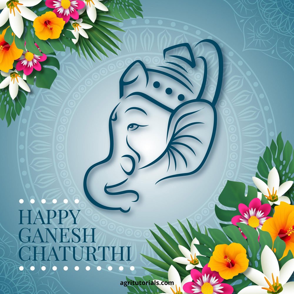 Whatsapp Cute Ganesha Dp