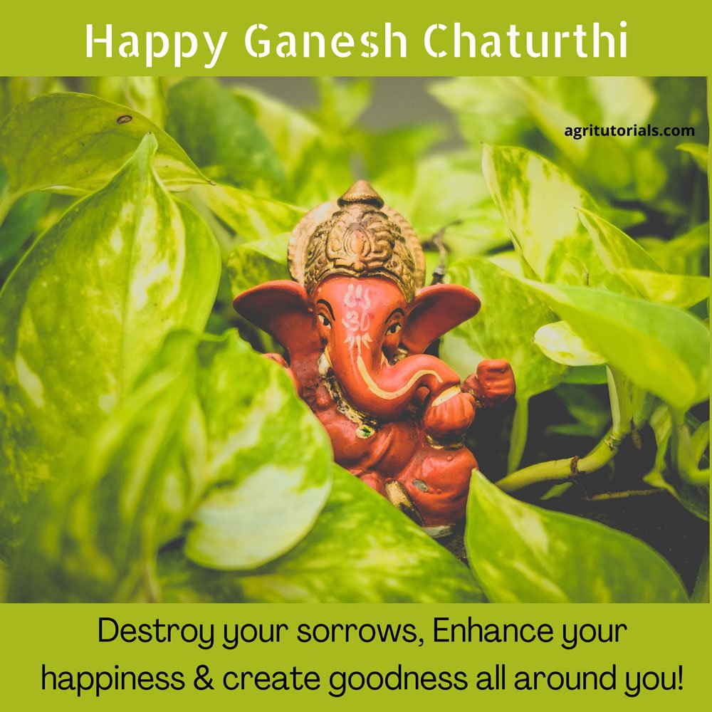 ganesh chaturthi background