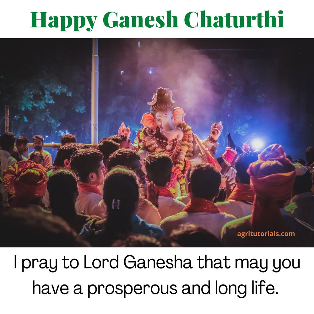 ganesh chaturthi quotes