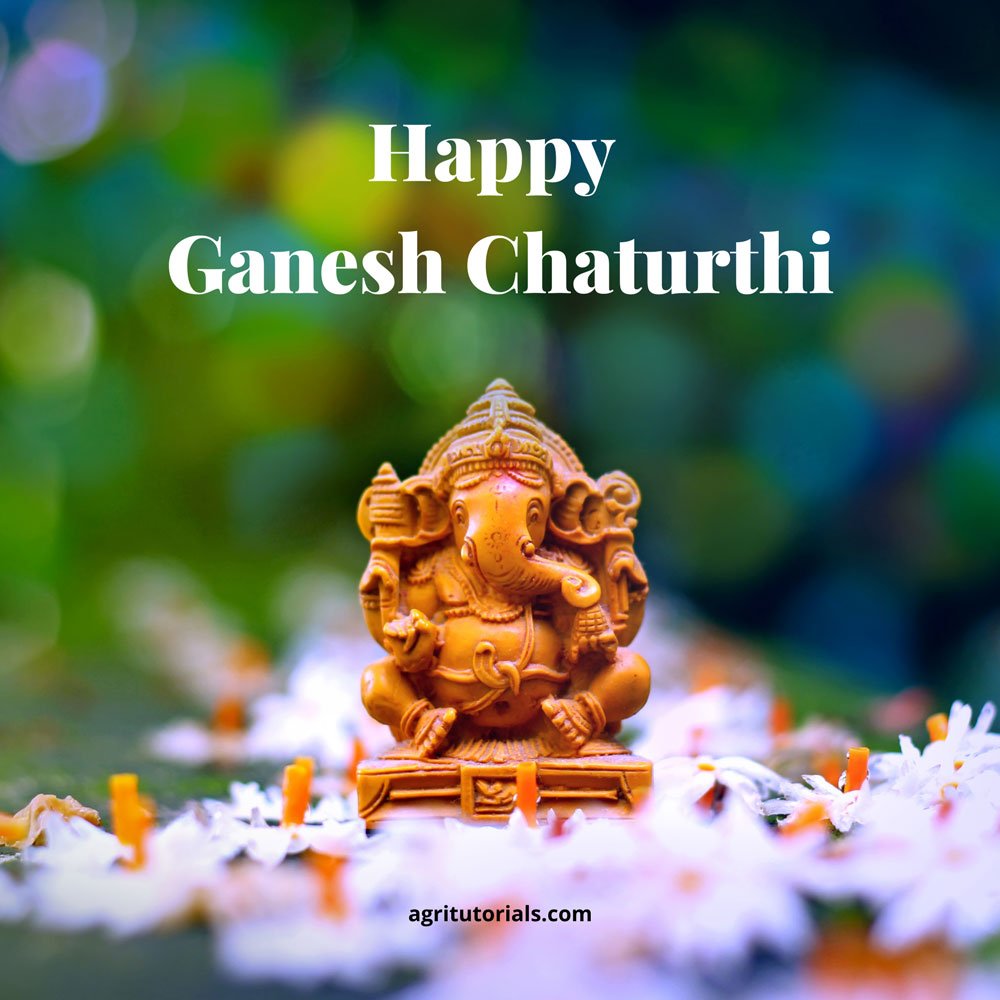 79+ Best Ganesh Chaturthi Images 2022, Ganpati Photo - AGRI TUTORIALS