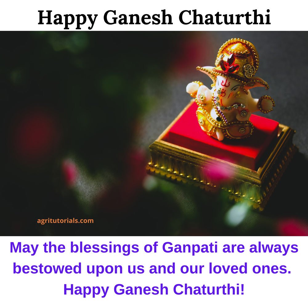 ganpati bappa caption for instagram