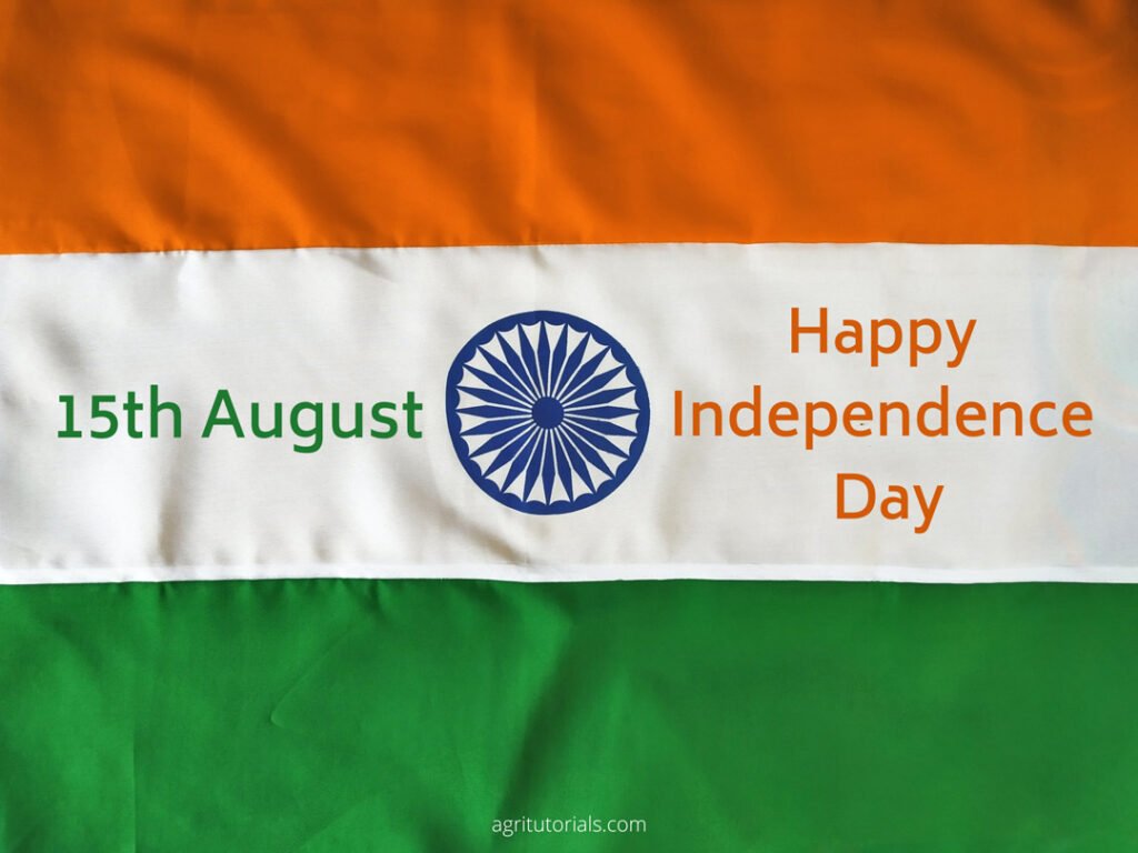 independence day flag images