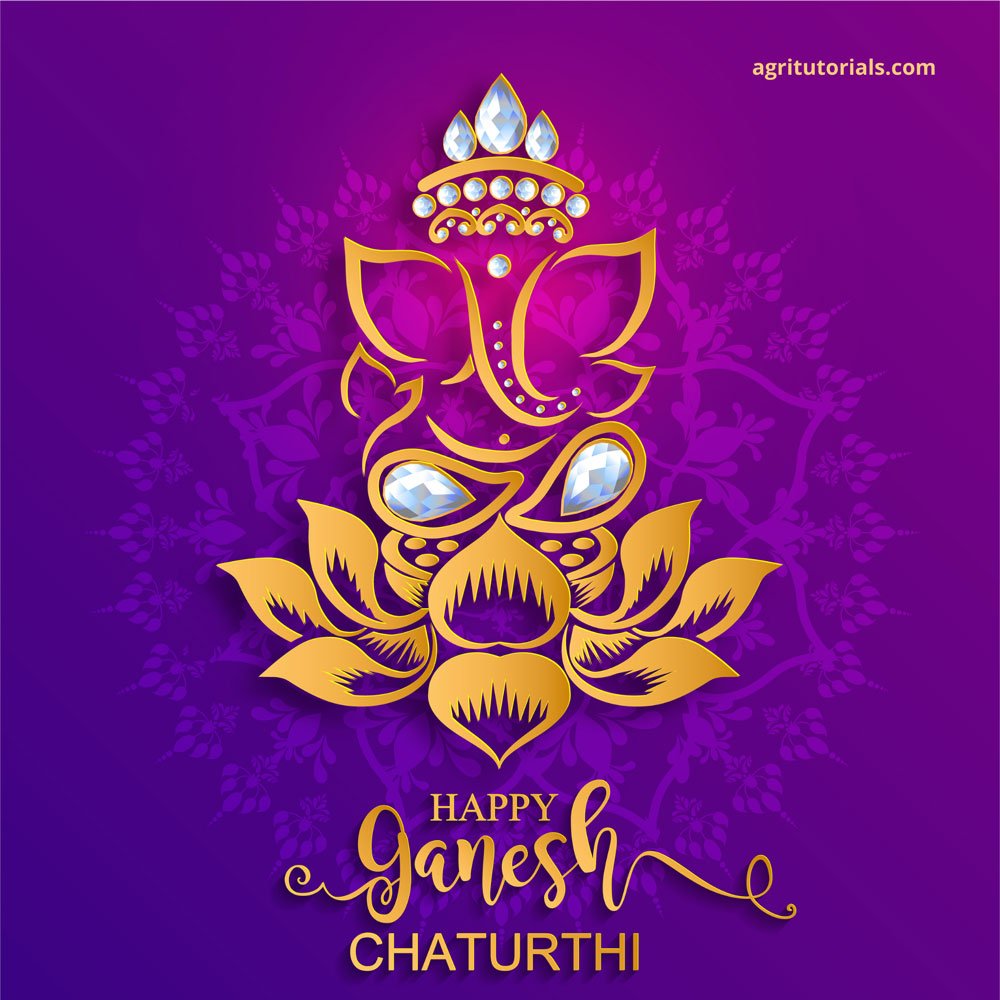 vinayaka chavithi images