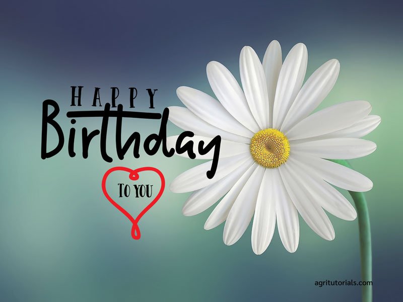 birthday images with flowers