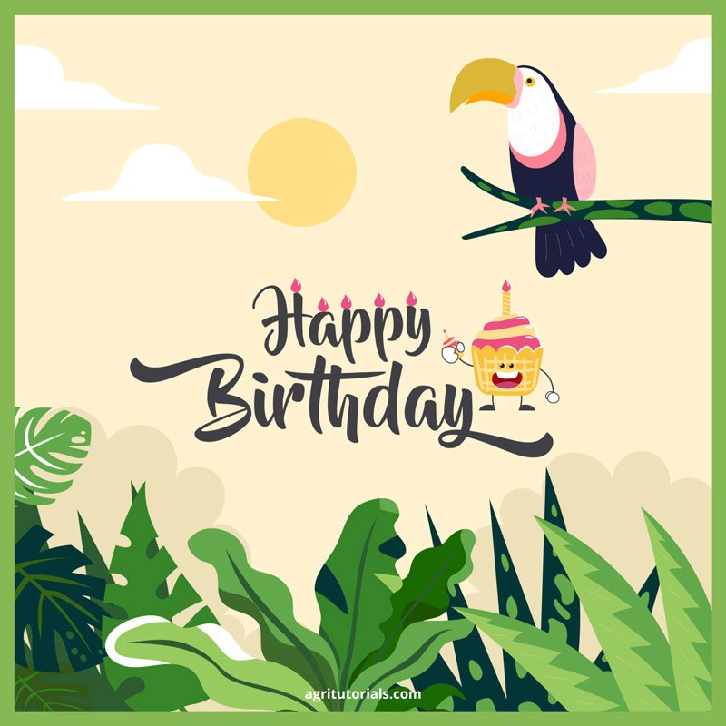 birthday wishes images