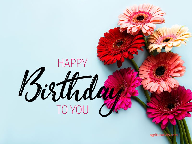 flowery happy birthday images